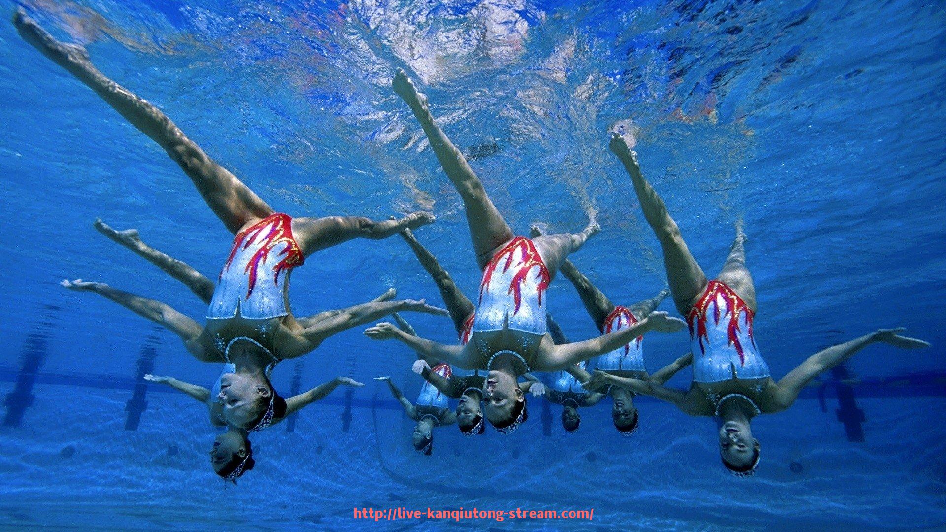 看球通-关注世俱杯专题栏目：附最新赛况与球迷热议